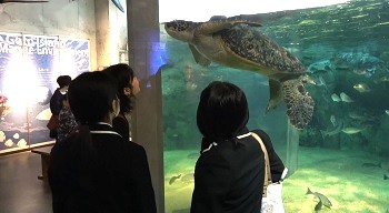 宿泊研修②.jpg