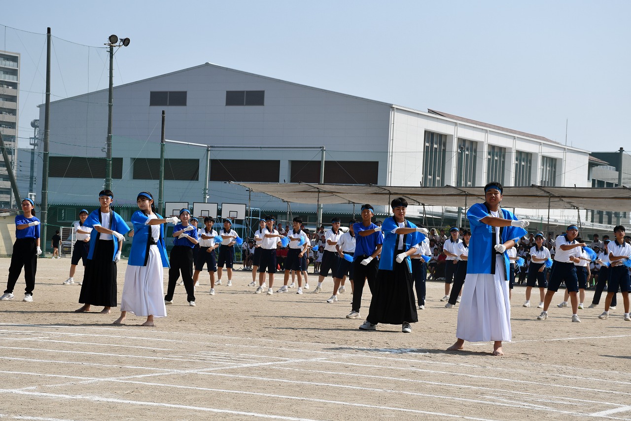 DSC3_3306.jpg
